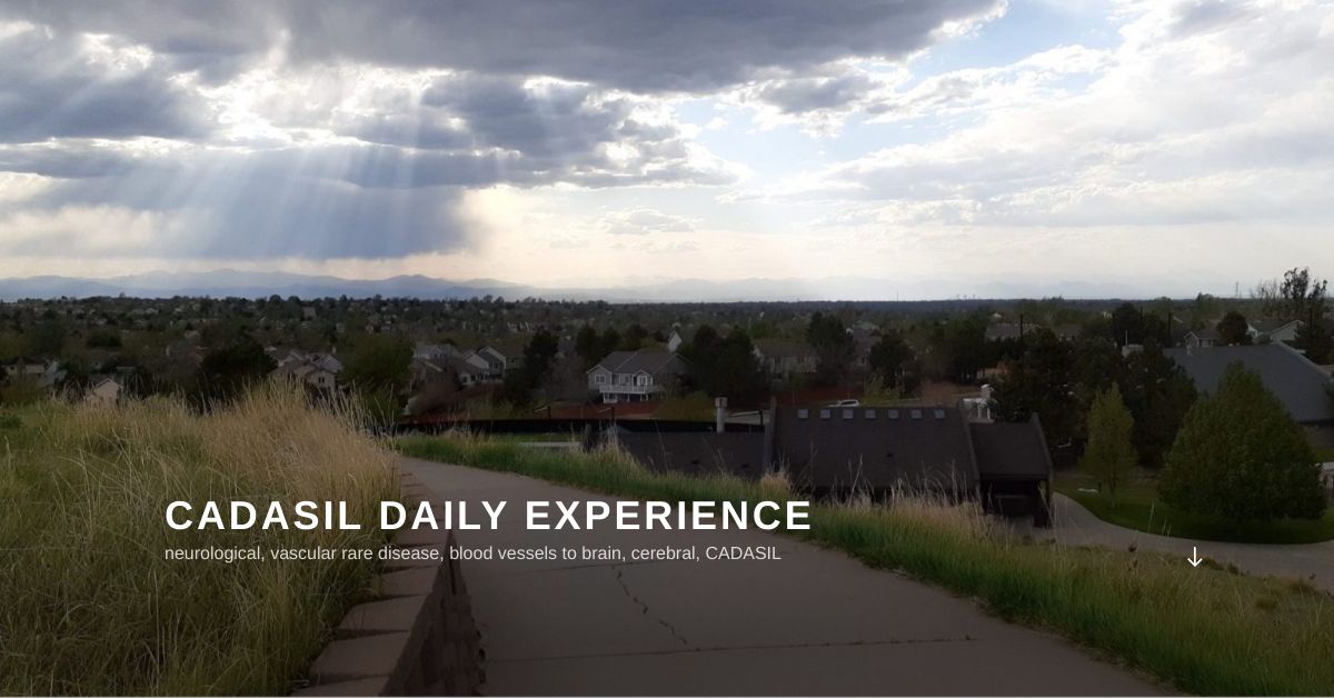 CADASIL daily experience – neurological, vascular rare disease, blood ...